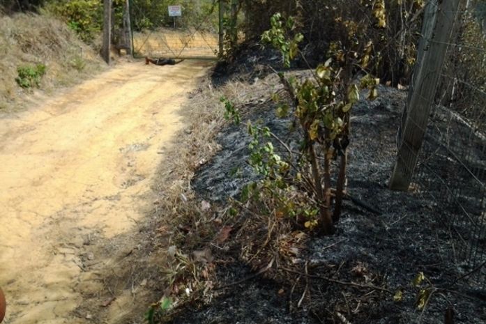 Corpo de Franciele foi encontrado carbonizado