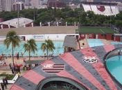 Gambá na caixa de luz deixa sede do Fla no escuro