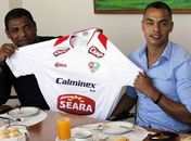 Dodô será o novo companheiro de ataque de Viola no Grêmio Osasco