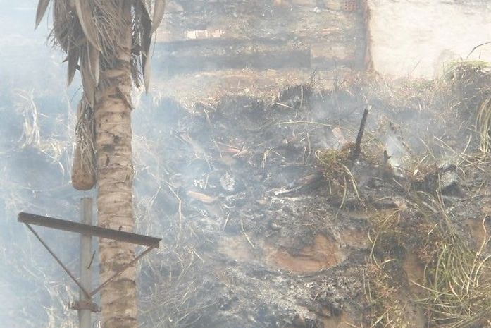 Fogo destruiu parte da vegetação