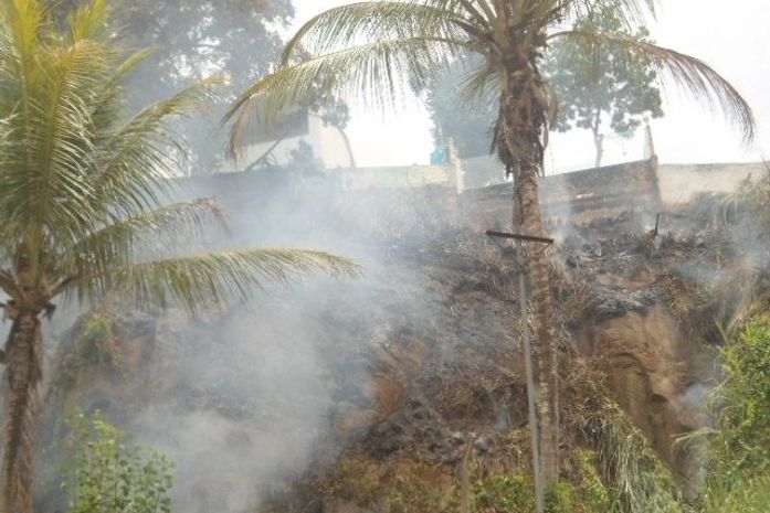 Fogo destruiu parte da vegetação