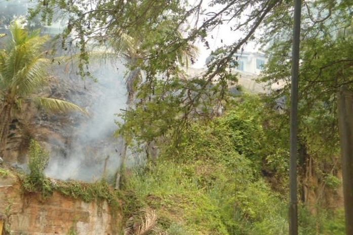 Fogo destruiu parte da vegetação