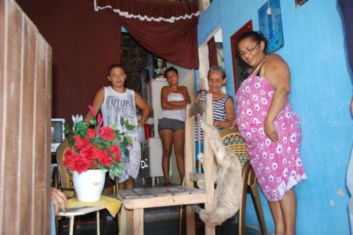 Moradora é surpreendida pela presença de bicho preguiça em sua casa