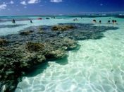 Alagoas - Costa dos Corais