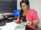 Promotora Denise Guimarães 