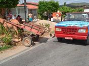 Acidente entre caminhões e carroça de burro deixa menor ferida