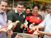 Agricultores de Palmeira dos Índios recebem aves e ração