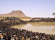 Como pegar todos os peixes de um lago em 15 minutos