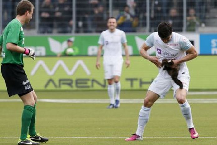 Texugo invade campo na Suíça, tumultua jogo e morde dedo de zagueiro
