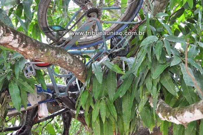 Corpo e bicicleta foram encontrados entre galhos de mangueira