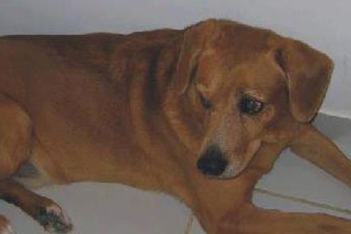 Boby está desaparecido desde o dia 06 de fevereiro