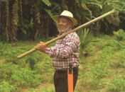 Confira a agenda cultural para o final de semana em Maceió