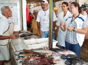 Vigilância fiscaliza vendedores