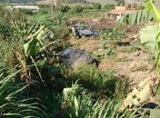  Acidente entre carreta e carro deixa policial civil ferido em São Miguel dos Campos