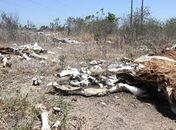 Em Pernambuco, meteorologistas dizem que seca vai continuar pelo segundo ano