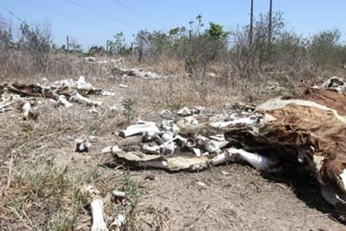 Em Pernambuco, meteorologistas dizem que seca vai continuar pelo segundo ano