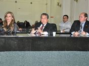Delegado-geral participa de reunião de comissão na Assembleia