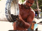 Produção de sururu cai e afeta renda de pescadores; só há lucro na Semana Santa