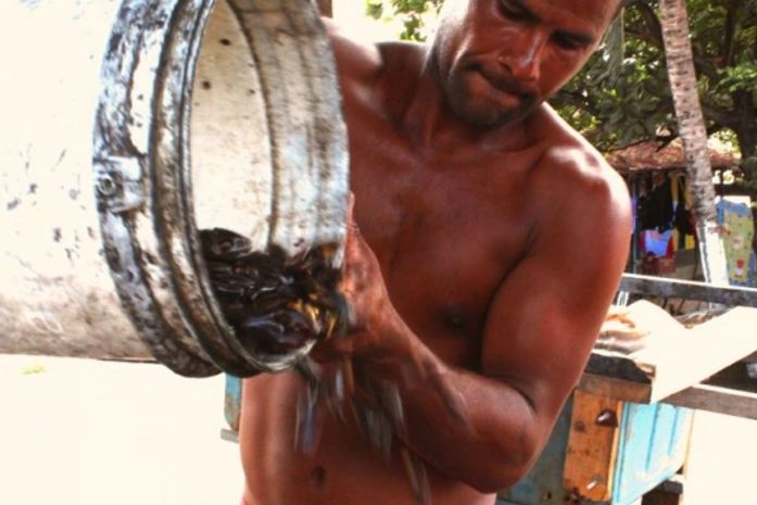 Produção de sururu cai e afeta renda de pescadores; só há lucro na Semana Santa
