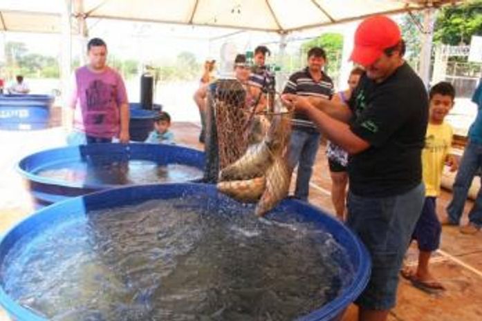 Feira do Peixe Vivo começa na próxima terça-feira