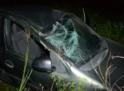 Carro de vereador roda em estrada, capota e cai em ribanceira