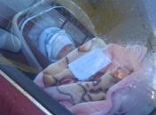 Na N. Zelândia, mãe tranca bebê em carro com bilhete: "fazendo compras"