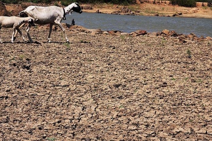 Por conta da seca, prefeitura de Estrela de Alagoas decreta situação de emergência