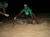 Sem estrutura, Biota resgata animais e ensina moradores a cuidar do meio ambiente