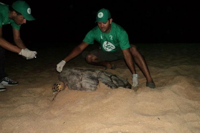 Sem estrutura, Biota resgata animais e ensina moradores a cuidar do meio ambiente