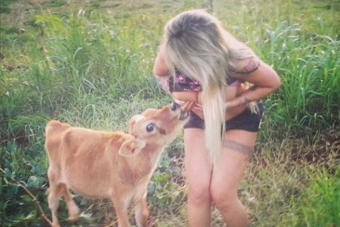 Após "amamentar" bezerro, Boing Boing é destaque em jornal inglês