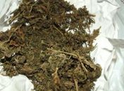 Polícia prende dupla acusada de tráfico de drogas em Delmiro Gouveia