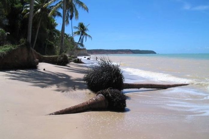 Homem é executado com quatro tiros na cabeça na Ilha da Crôa