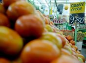 Preço do tomate assusta consumidores