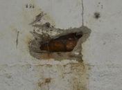 Buraco tinha quase 30 centímetros de diâmetro 