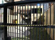 Desabamento na Ponta Verde: prédio vizinho é isolado