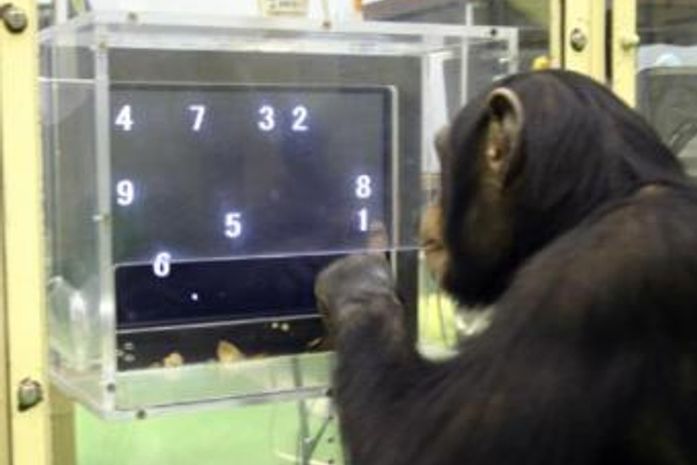 Memorização de Números e Datas