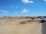 Após denúncia, IMA notifica responsáveis por desmatamento no Sertão