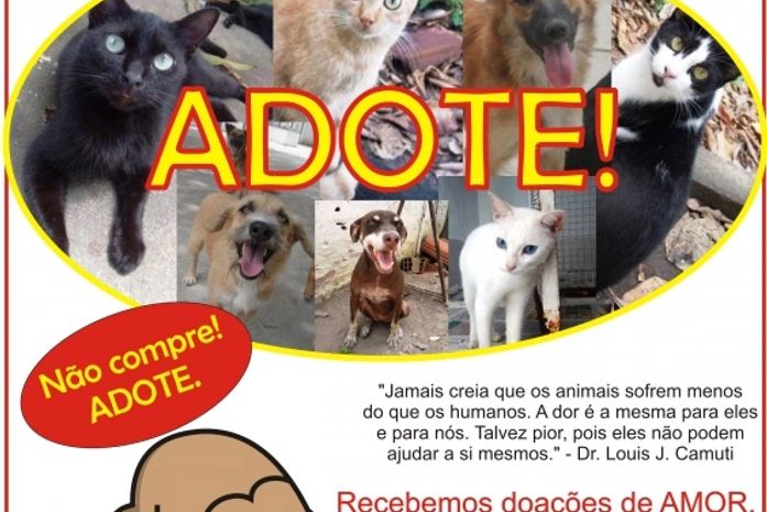 NEAFA vai promover feira de adoção de cães e gatos neste sábado (20)