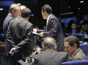 Senado discute hoje projeto de voto distrital para vereadores
