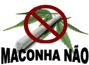 Porque não Legalizar a Maconha