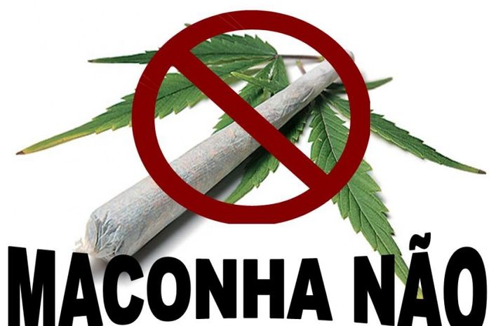 Porque não Legalizar a Maconha