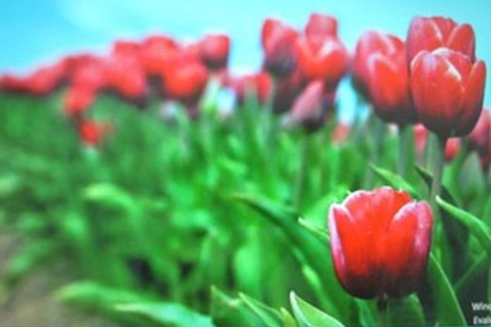 A área de trabalho (desktop) do Windows 8 pode ter de volta o botão 'Iniciar'