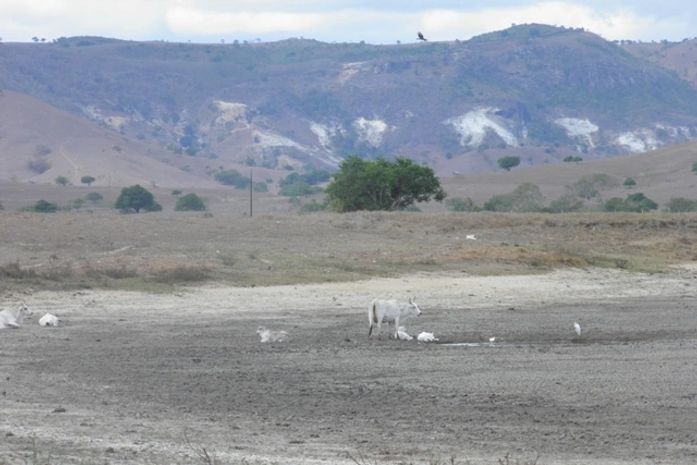 Seca em Tanque D´Arca
