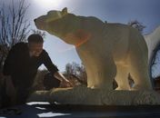 Artista usa 125 mil peças para criar 'zoológico de Lego' nos EUA