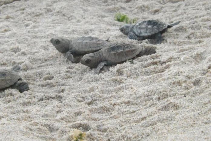 Inscrições para minicurso estão abertas