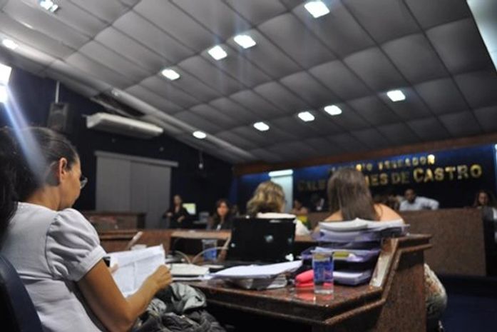 Heloisa no plenária da Câmara