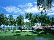 Jatiúca Resort oferece almoço especial para o Dia das Mães