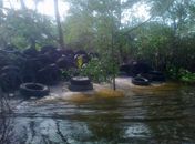 Descarte irregular de pneus à margem de Lagoa Manguaba preocupa moradores