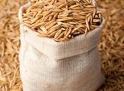 Comida de passarinho?!