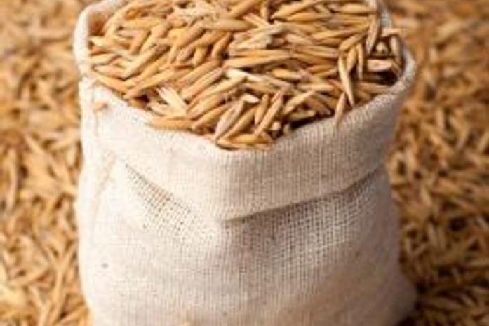 Comida de passarinho?!